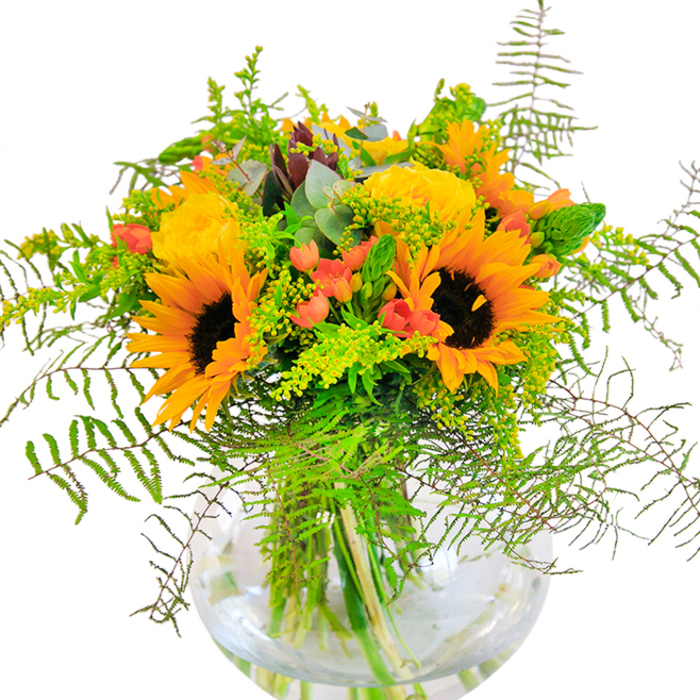 At first glance, this bouquet in its round glass vase is pure radiance: towering sunflowers and robust yellow roses gather their petals as though drawing in the day's last light, each layer aglow with golden optimism. Intermingling amongst the blooms, glossy cranberry-red hypericum berries appear like clusters of laughter-each one a surprise amid the feathery sprays of fern and understated filler. Threads of green wind upward, with hints of eucalyptus weaving a breath of Camden's surrounding woodlands into the arrangement. The whole composition feels like a living tribute to Fitzrovia's dynamic blend of verdant city gardens and contemporary flair, familiar to anyone pausing for coffee along Goodge Street. The slender stems, visible beneath the water's surface, anchor the arrangement while giving it a sense of airiness and architectural grace. Close up, you'd notice the layered petal textures, the velvety cheeks of sunflower centres, and the gentle snap of the freshest greens. Whether placed on a Fitzrovia dining table or sent as a joyful congratulations, this arrangement is a true celebration of local beauty, fit for birthdays, anniversaries, or simply lending a sense of sunshine to any room.